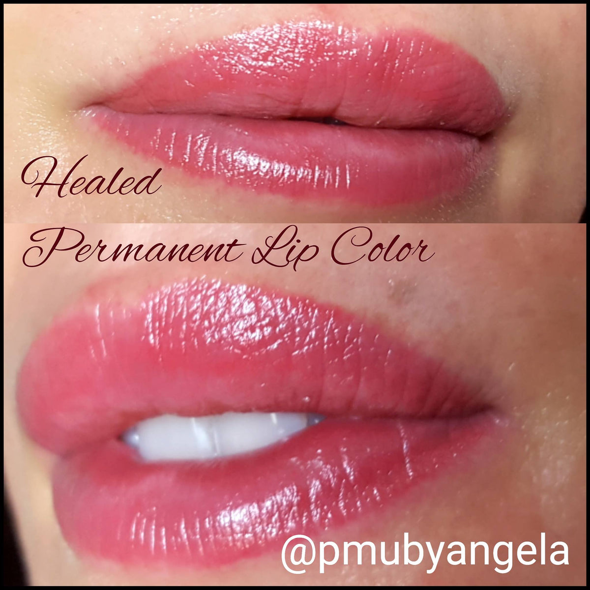 Li Pigments Forever Lips - Sugared Rose 12ml