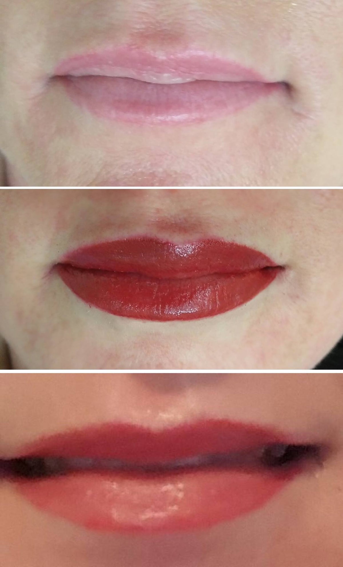 Forever Lips - Teryn&#39;s Forever Lip Kit by Li Pigments